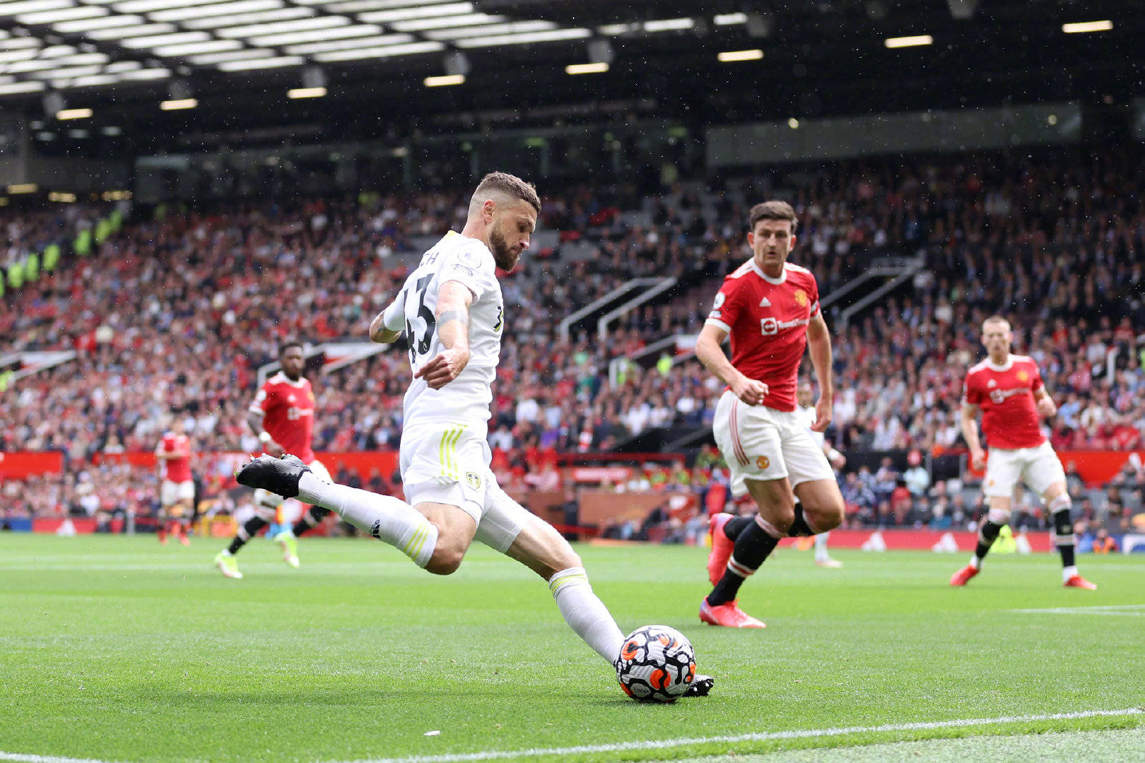 菲的回报 菲的回报